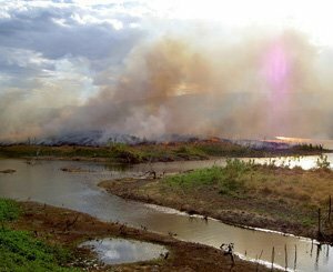 Au Brésil, la fumée d'incendies hors norme fait suffoquer et inquiète