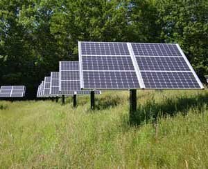 L'Italie bannit les panneaux solaires au sol sur des terres agricoles