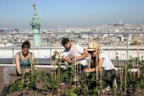 Paris Rooftop Days 2023 : à la découverte du potentiel des toits 