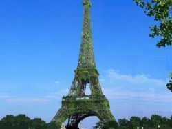 Le biomimétisme, au coeur du concours Eiffel 2019