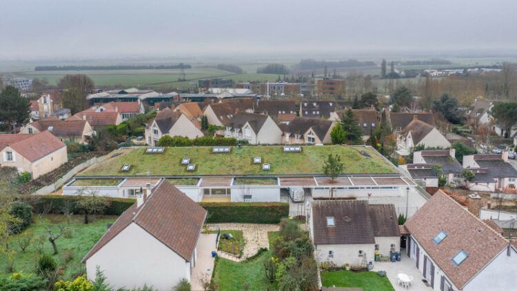 Les deux oies de Noisy-le-Roi, par et pour les petits lapins