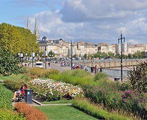 Bordeaux va planter 20.000 arbres pour lutter contre les îlots de chaleur