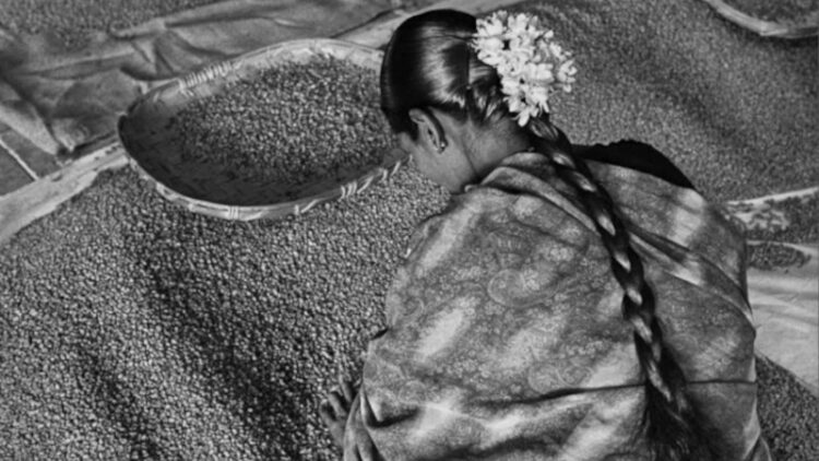 Genesis, de Sebastião Salgado