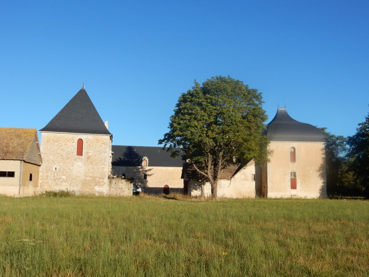 Sarthe : une seconde jeunesse pour la charpente d'un manoir du XVIe siècle