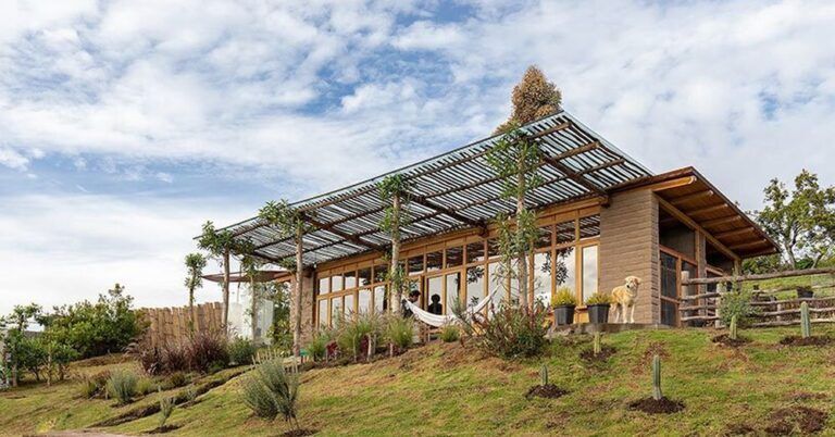 Terre crue et arbres vivants pour cette simplissime maison équatorienne