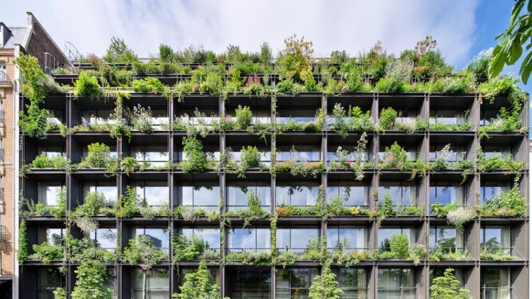 A Paris, la Villa M signée Triptyque entend soigner mieux