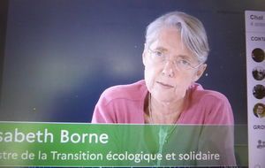 Biodiversité : un livre blanc pour inspirer la stratégie nationale