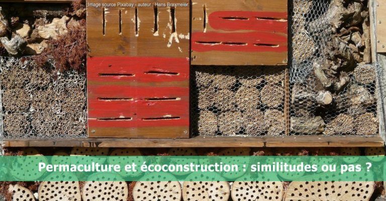 Permaculture et écoconstruction : similitudes ou pas ?