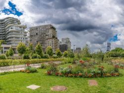 Les habitants de grandes villes pas tous égaux dans l'accès aux espaces verts