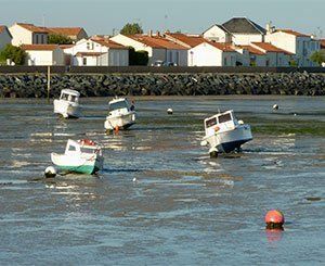 Neuf ans après la tempête Xynthia, un village ostréicole de Charente-Maritime renait