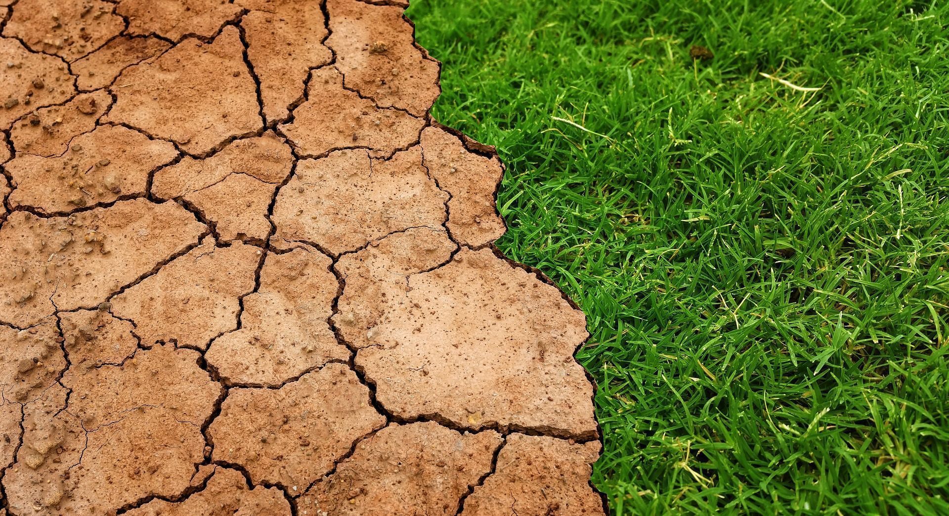 Le Haut conseil pour le climat préconise un plan de relance compatible avec la neutralité carbone