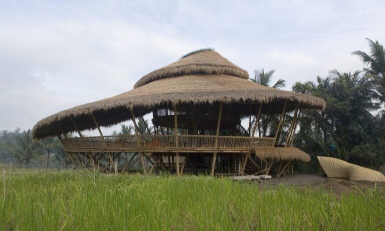 Systèmes de toiture pour les bâtiments en bambou