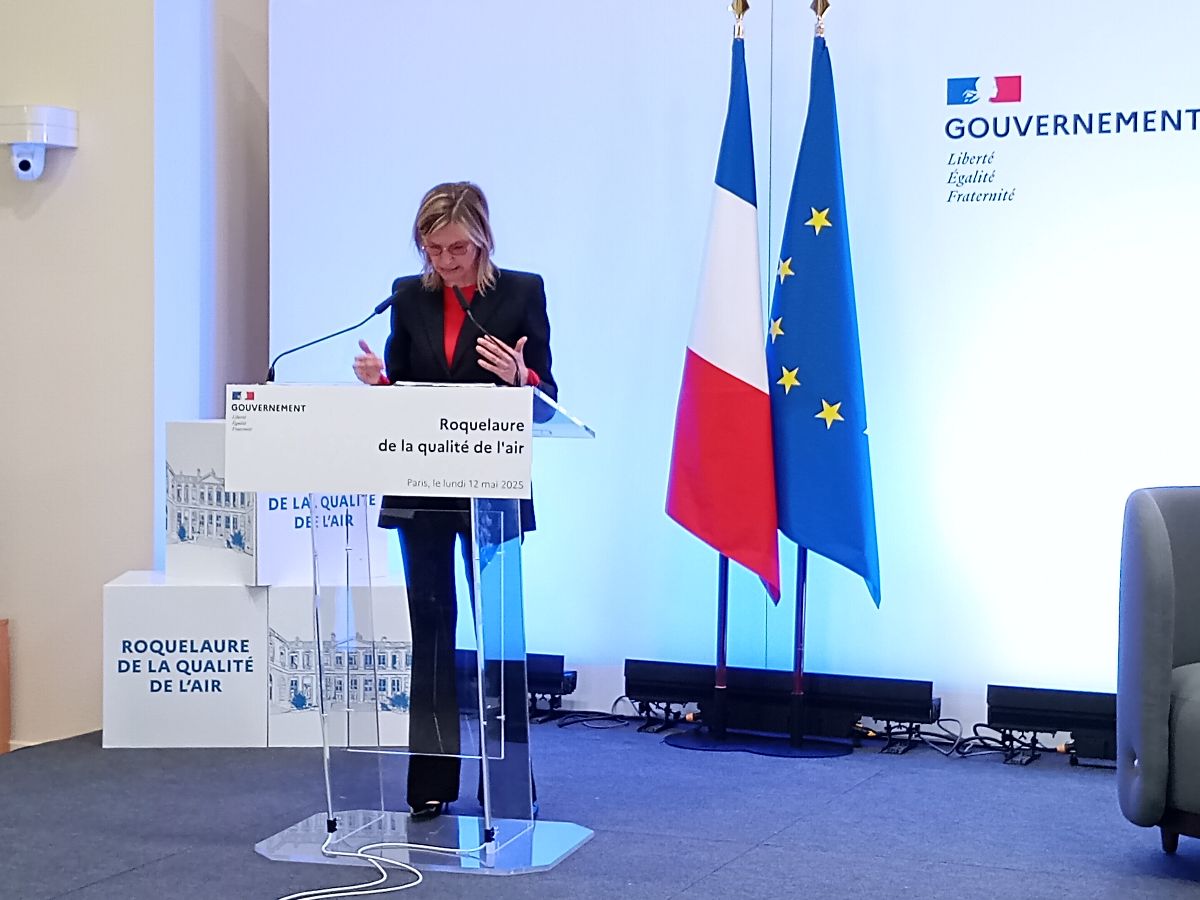 Chauffage bois, ZFE : des angles morts de la lutte contre la pollution de l'air persistent