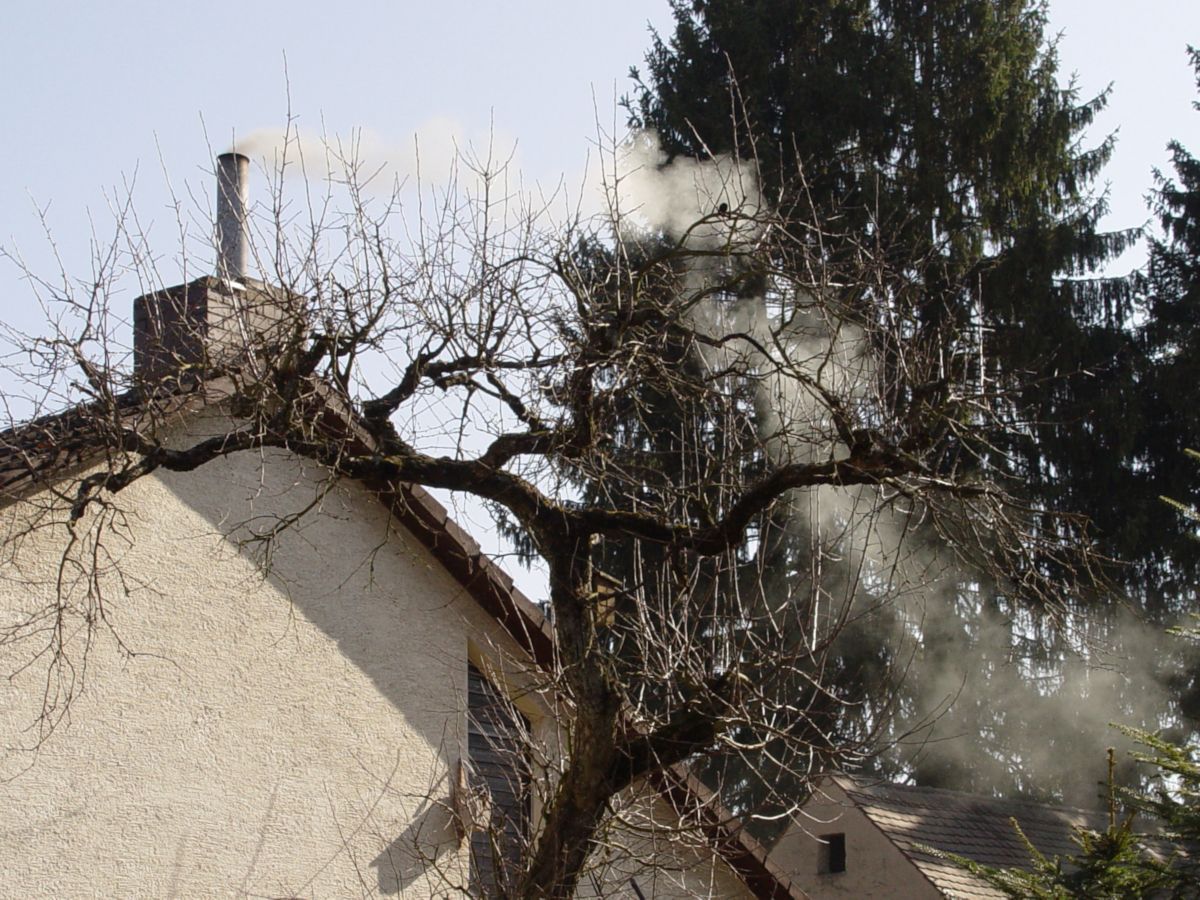 Pollution de l'air : le bois-énergie se défend 