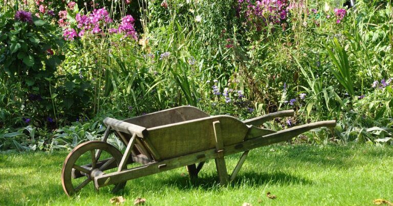 Se lancer dans un potager bio