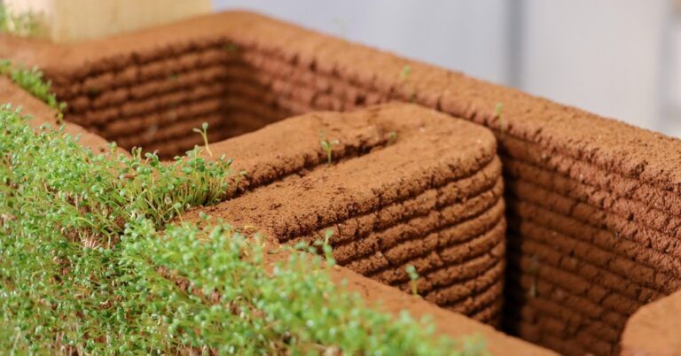 Végétalisation : des murs construits en 3D pour faire pousser des plantes