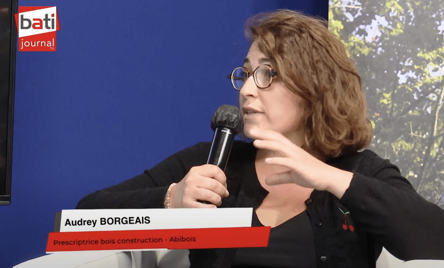 Présentation du site Panorama Bois avec Audrey Borgeais d’Abibois