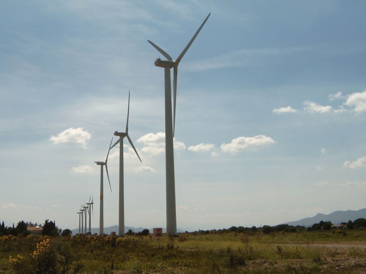 L'Etat veut ralentir l'éolien terrestre, le secteur se défend