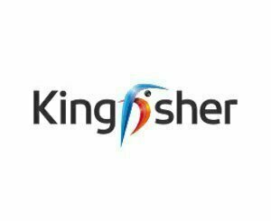 Kingfisher revoit ses objectifs annuels à la baisse