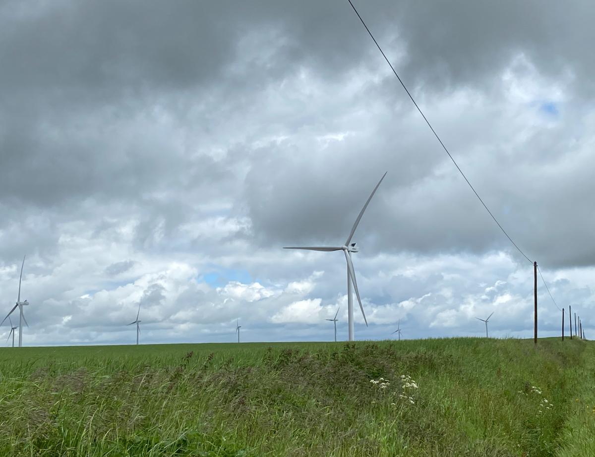 Projet de loi climat : vers une adoption définitive