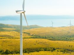 Impact des ENR sur leur milieu d'implantation : le bilan pour deux observatoires étatiques