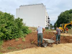 Noisy-le-Grand se transforme en îlot vert pour lutter contre le dérèglement climatique