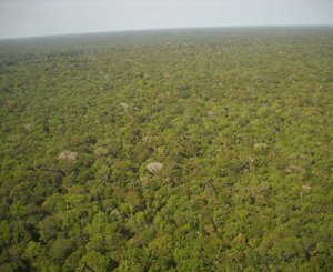 Au Brésil, la déforestation ralentit encore en Amazonie mais accélère dans le Cerrado