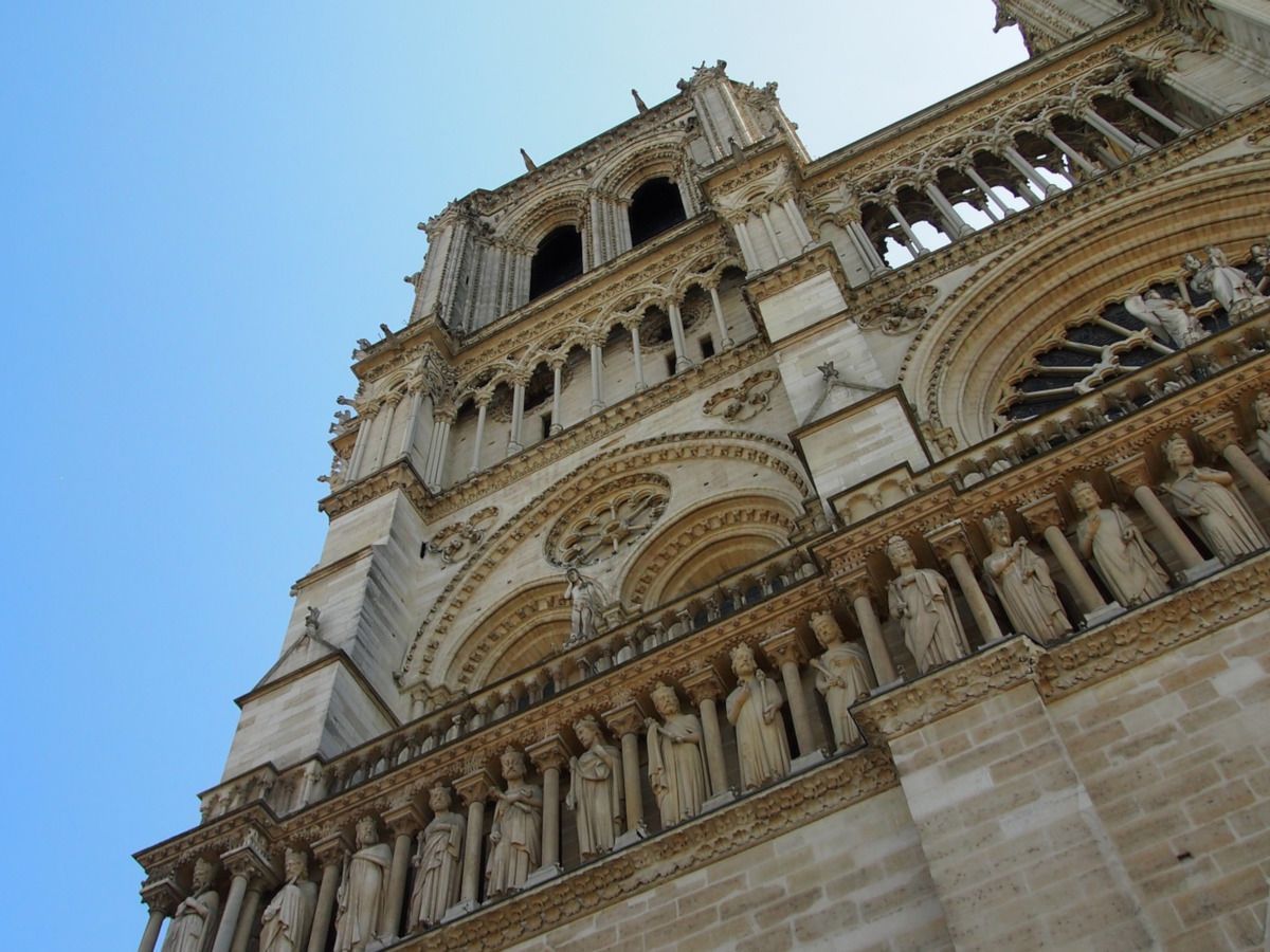 Les premiers chênes destinés à reconstruire la flèche de Notre-Dame ont été sélectionnés