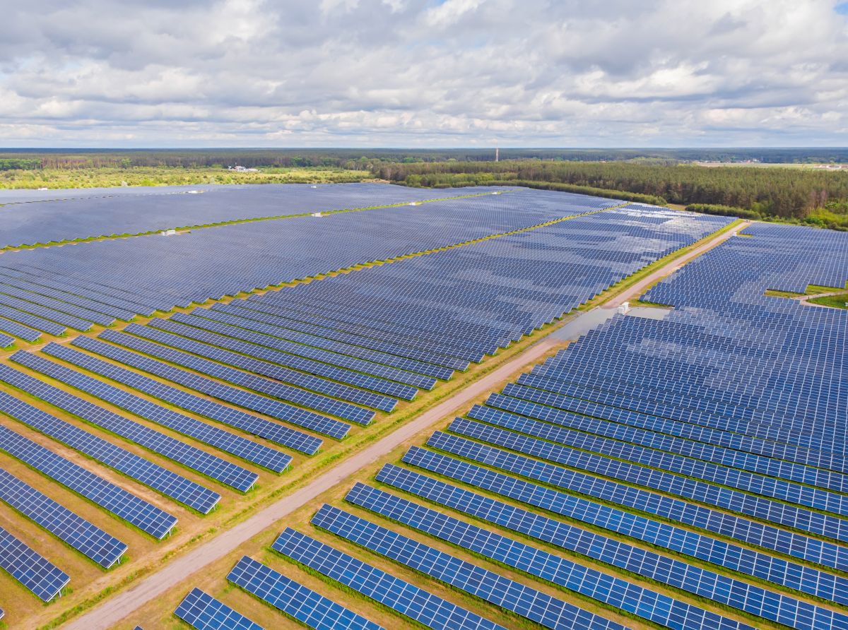 Neoen demande au gouvernement de débloquer son projet de méga centrale photovoltaïque