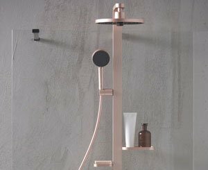 Le nouvel ensemble de douche thermostatique Alu+ remporte le « German Design Award »