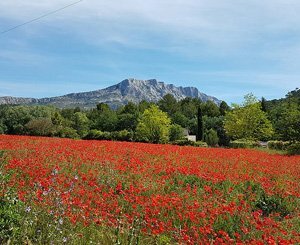 Les paysages cézaniens sur la Sainte-Victoire menacés par un projet immobilier ?