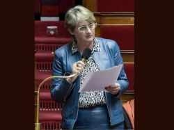 "Il faudra pérenniser le fonds friche" (M-N. Battistel, députée)