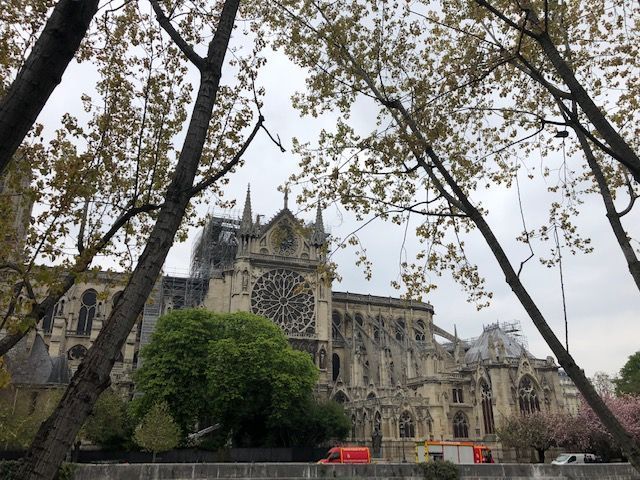 Le conseil scientifique chargé de la restauration de Notre-Dame de Paris est en place