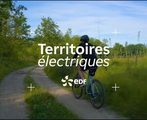 Reforestation et climat, l’engagement des entreprises avec Oklima