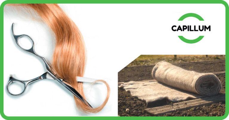 Capillum fabrique un paillage à base de cheveux recyclés