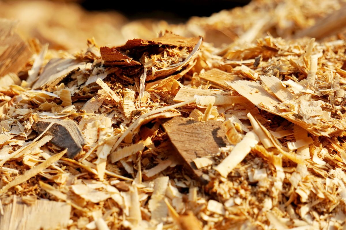 La filière bois-construction confrontée à la gestion de ses déchets de production