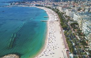Cannes : La Croisette se refait une beauté