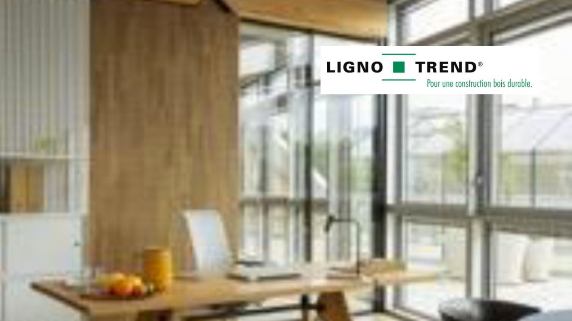 Aménagement créatif de bureaux avec LIGNO Acoustique