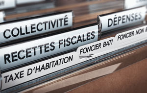 Les collectivités abordent la crise dans une meilleure situation financière que l'Etat 