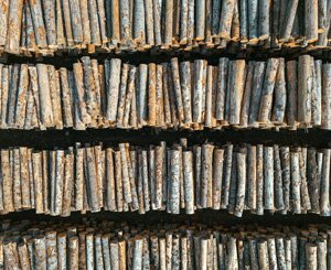 Bjelin restructure son usine Ogulin 1