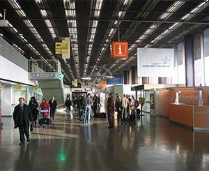 Privatisation d'ADP: feu vert du Conseil constitutionnel au projet de référendum d'initiative partagée (RIP)