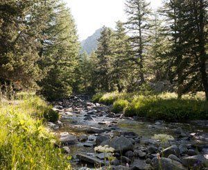 Hausse des effectifs des parcs nationaux et aires marines protégées