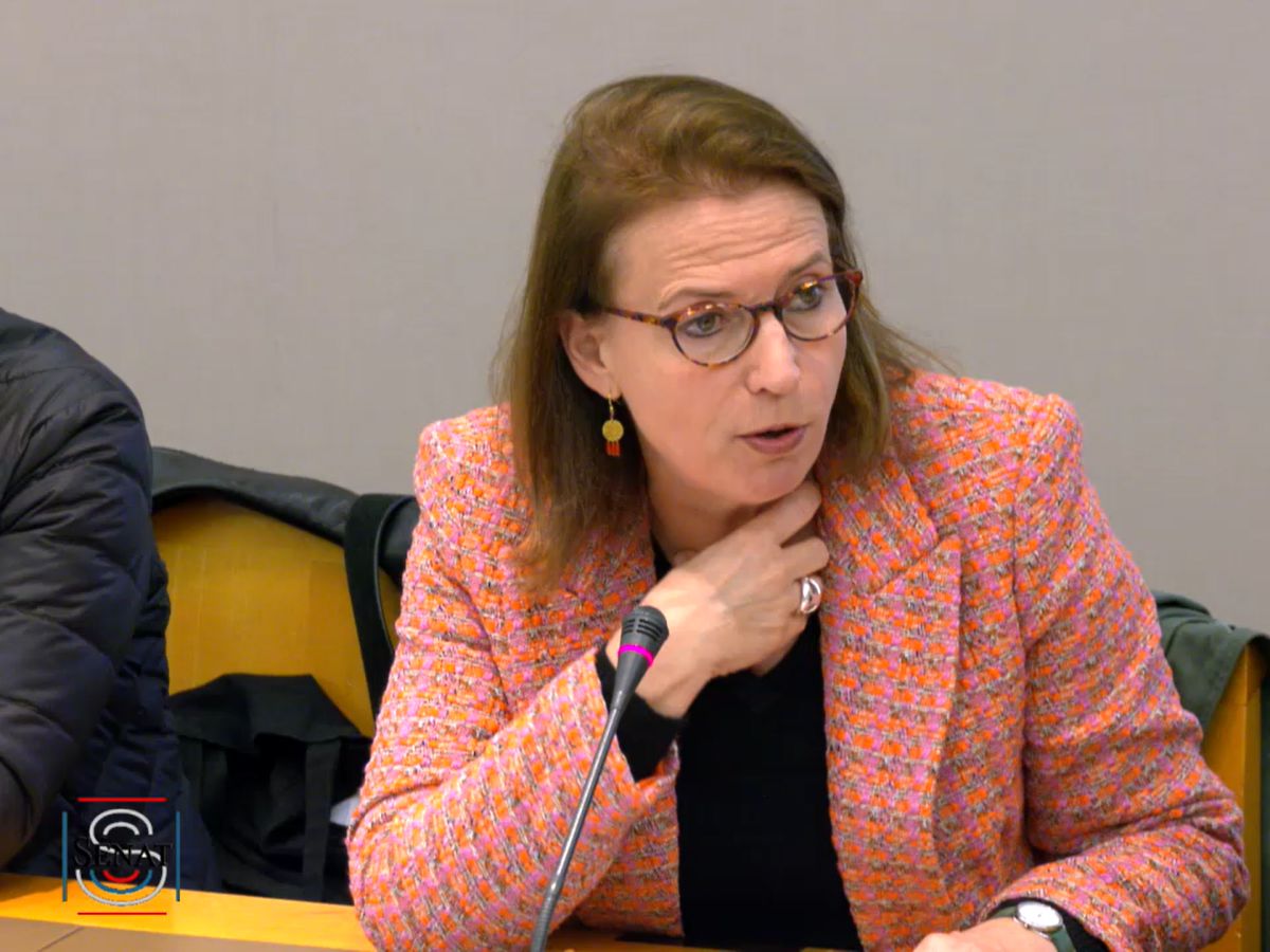 MaPrimeRénov' : "Les difficultés sont loin d'être résolues" (Défenseure des droits)