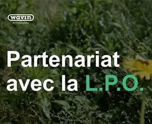 Wavin R.S.E. - Partenariat avec la LPO | Interview Jonathan Duprix