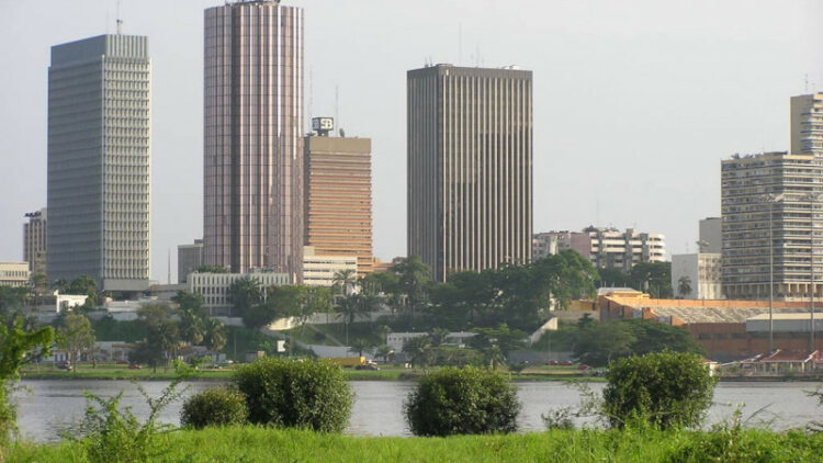 À Abidjan, les chauves-souris, symboles de résistance et de résilience