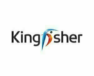 Kingfisher relève légèrement ses objectifs annuels après un premier semestre stable