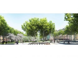 Une troisième "forêt urbaine" va être plantée à Paris