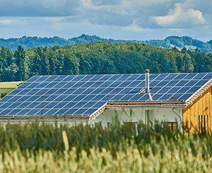 Le gouvernement veut encourager le développement du photovoltaïque