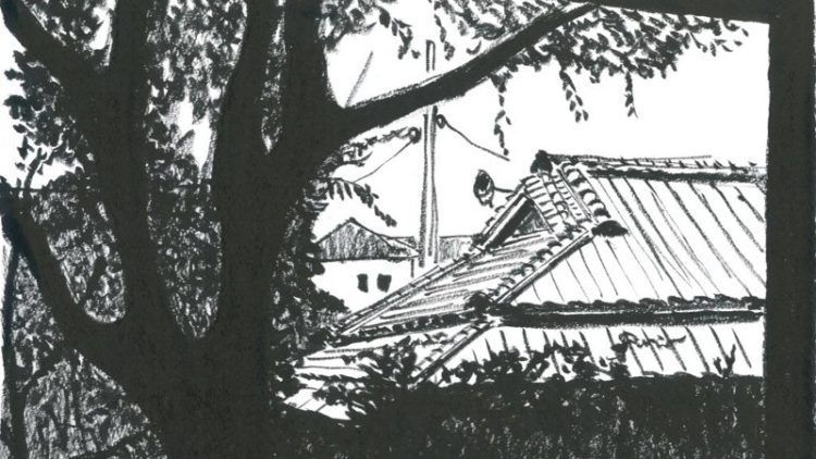 Manuel Tardits en quelques mots et quelques dessins