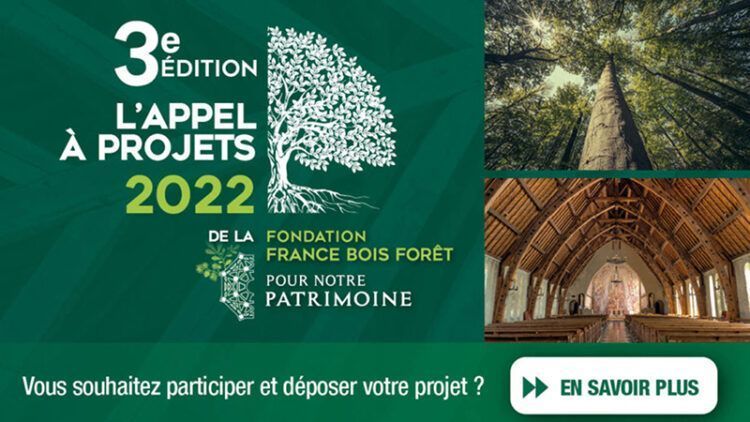 Fondation France Bois Forêt : appel à projets d’aide aux chantiers de restauration